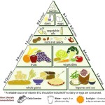 PLM fit veggies
