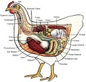 Anatomy of DesignState