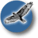 hrs-logo