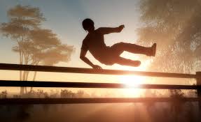 jumping the fence.jpeg