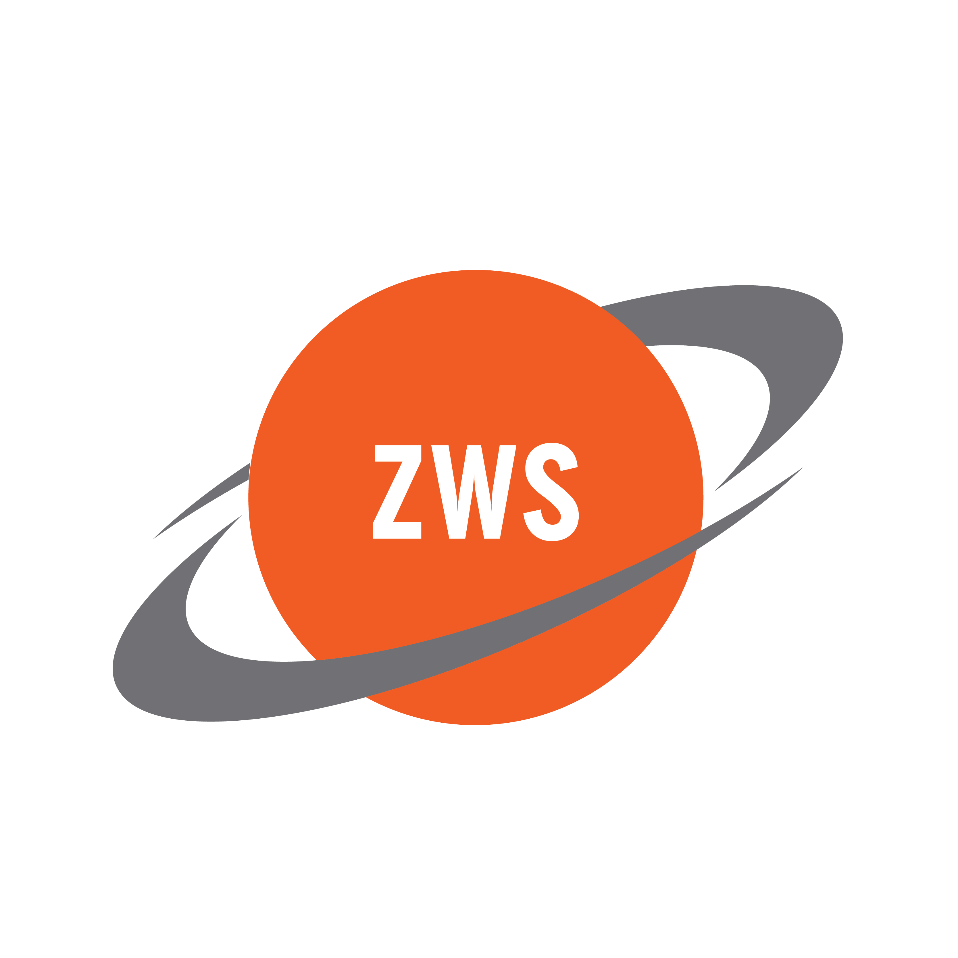 ZWS PLM Experts
