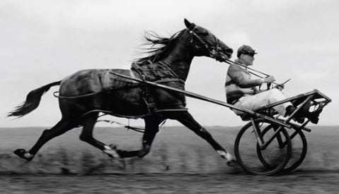 The PLM State: The Cart before the Horse? Using PLM to Design Business  Process